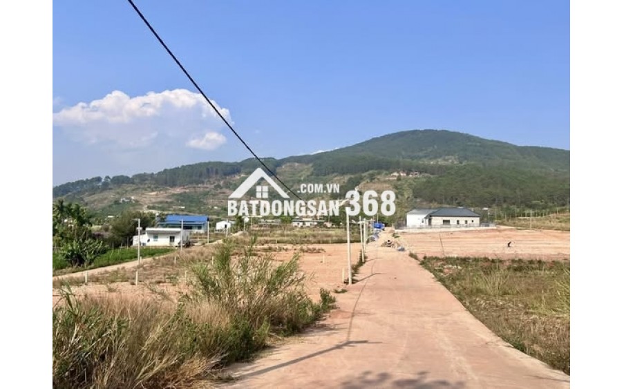 ĐẤT 2 MẶT TIỀN – THUNG LŨNG THÔNG XANH, KHÔNG GIAN SỐNG CHẠM CẢM XÚC