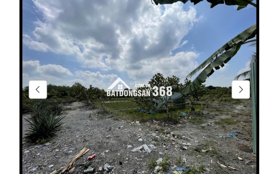 Cho thuê đất MT đường 7m rộng 1 mẫu tại ĐS 812, Xã Phú Mỹ Hưng, Củ Chi