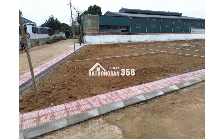 CẦN BÁN GẤP – LÔ ĐẤT VÀNG TRỤC CHÍNH TRẠI LÁNG – GẦN TOMODACHI LÀNG MÍT