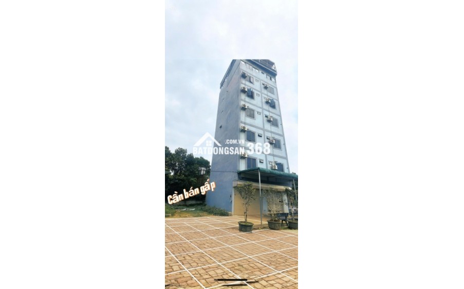 Bán đất chính chủ tại Xã Cổ Đông, Sơn Tây, Hà Nội, 30 triệu/m2, S= 100 m2 full thổ cư