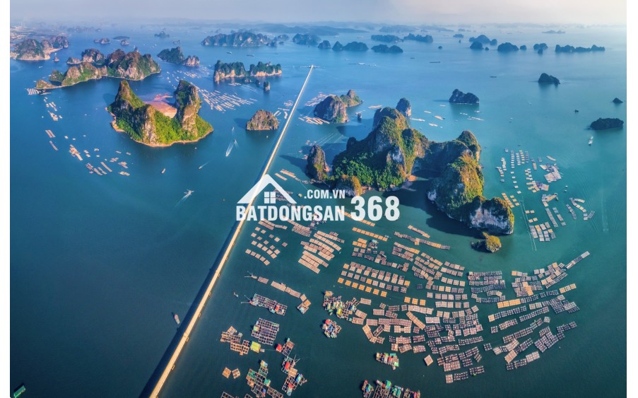 CĂN ĐẮT NHẤT TÒA D – D2117 CRH VÂN ĐỒN CÓ ĐÁNG MUA KHÔNG?