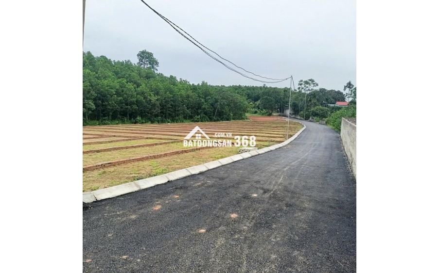 CƠ HỘI ĐẦU TƯ ĐẤT NỀN GIÁ TỐT TRUNG TÂM XÃ AN BÌNH – CHỈ TỪ 225TR/LÔ