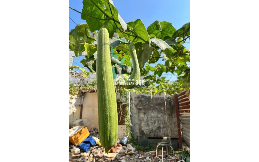 120m2 Đất ở Full Thổ Cư, Nguyễn Bình, Làng Đại Học Nhà Bè, XD tự do Chỉ 3.7 Tỷ