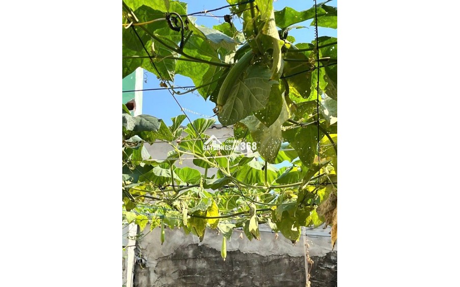 120m2 Đất ở Full Thổ Cư, Nguyễn Bình, Làng Đại Học Nhà Bè, XD tự do Chỉ 3.7 Tỷ