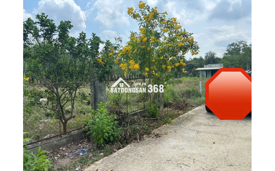 Chính chủ bán gấp đất 920m2 tại chợ Định Hiệp