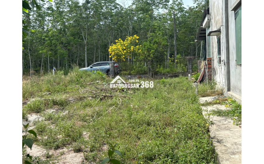 Chính chủ bán gấp đất 920m2 tại chợ Định Hiệp