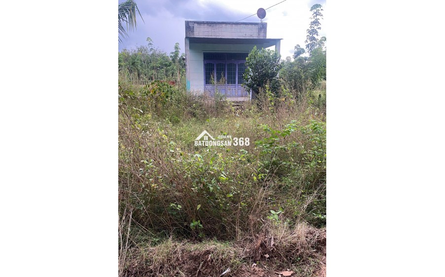 Chính chủ cần bán gấp 542m2 gần trung tâm Định Hiệp