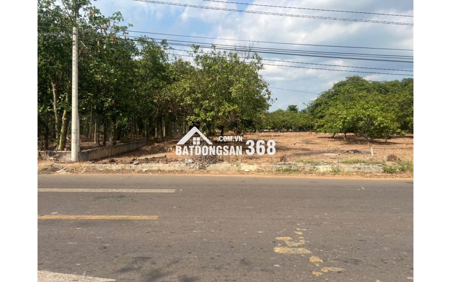 Bán đất Mt Nhựa Xuân Hiệp-Tân Tiến, Xuân Lộc. Đồng Nai. Giá 3.25ty. Lh 0984488048.