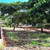 210m² THỔ CƯ, NGAY CHỢ HÀM NGHI – TP LONG KHÁNH – ĐN. CƠ HỘI X2,3 TÀI SẢN.