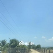 Cần chuyển nhượng lô đất lý tưởng cho mô hình trang trại tại Thôn 2, xã Hồng Sơn,Lâm Đồng