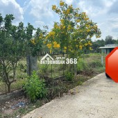 Chính chủ bán gấp đất 920m2 tại chợ Định Hiệp