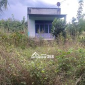 Chính chủ cần bán gấp 542m2 gần trung tâm Định Hiệp