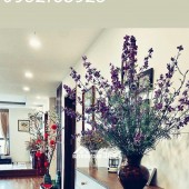 Bán căn hộ 87m tại X2 Đại Kim Hoàng Mai Hà Nội