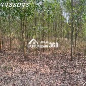 Bán đất vườn 8600m2 tại Xuân thành, Đồng Nai. Giá chỉ 3.2 tỷ. Lh: 0984488048