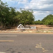 Bán đất Mt Nhựa Xuân Hiệp-Tân Tiến, Xuân Lộc. Đồng Nai. Giá 3.25ty. Lh 0984488048.