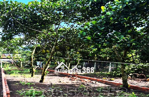 210m² THỔ CƯ, NGAY CHỢ HÀM NGHI – TP LONG KHÁNH – ĐN. CƠ HỘI X2,3 TÀI SẢN.