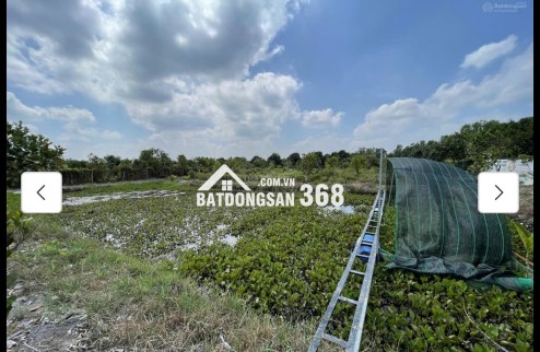 Cho thuê đất MT đường 7m rộng 1 mẫu tại ĐS 812, Xã Phú Mỹ Hưng, Củ Chi