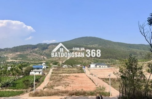 ĐẤT 2 MẶT TIỀN – THUNG LŨNG THÔNG XANH, KHÔNG GIAN SỐNG CHẠM CẢM XÚC