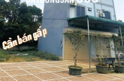 Bán đất chính chủ tại Xã Cổ Đông, Sơn Tây, Hà Nội, 30 triệu/m2, S= 100 m2 full thổ cư