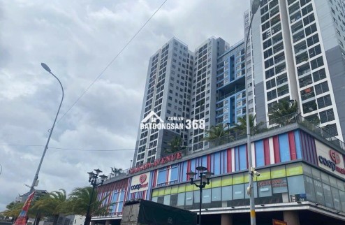 Chính chủ bán gấp căn Shophouse chung cư Saigon Avenue giá 9.5 tỷ KDC Tam Bình