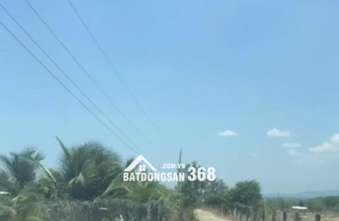 Cần chuyển nhượng lô đất lý tưởng cho mô hình trang trại tại Thôn 2, xã Hồng Sơn,Lâm Đồng