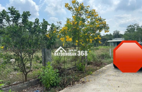 Chính chủ bán gấp đất 920m2 tại chợ Định Hiệp