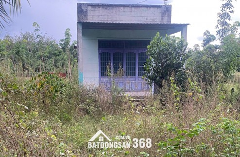 Chính chủ cần bán gấp 542m2 gần trung tâm Định Hiệp