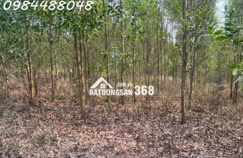 Bán đất vườn Xuân thành, Xuân Lộc, Đồng Nai. Giá chỉ 3.2 tỷ. Lh: 0984488048
