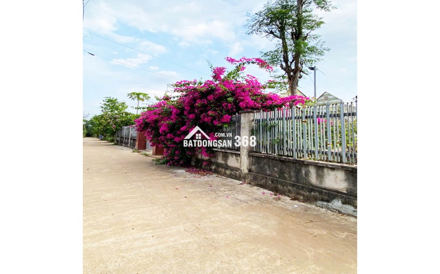 ĐẤT NỀN THỌ TÂN – P XUÂN LỘC – ĐN. GIÁ CHỈ 490Tr. 100% OĐT