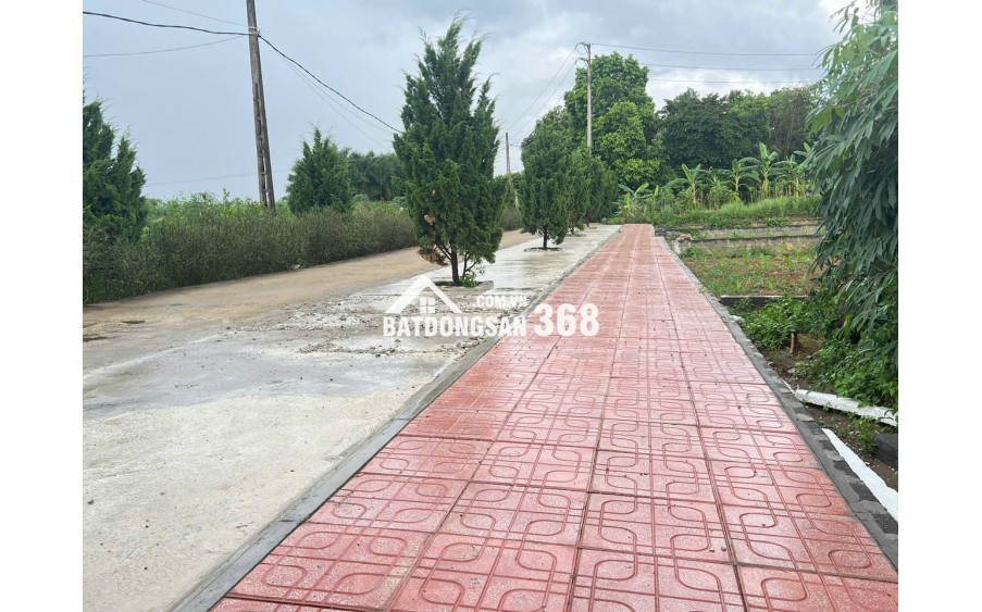 Bán mảnh đất( 8x15 )120m2 full thổ cư. xã Phú Cát Hà Nội,Cách ql21 150m, cạnh trường đại học công nghệ