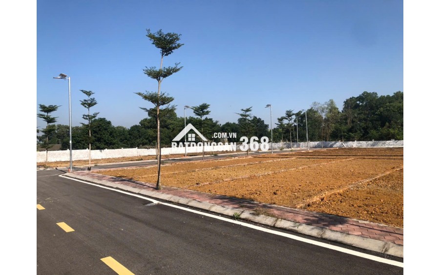 Hiếm có suất ngoại giao lô đất Phú Cát sát Metro City, mặt đường tỉnh 446, ngã tư Vai Réo