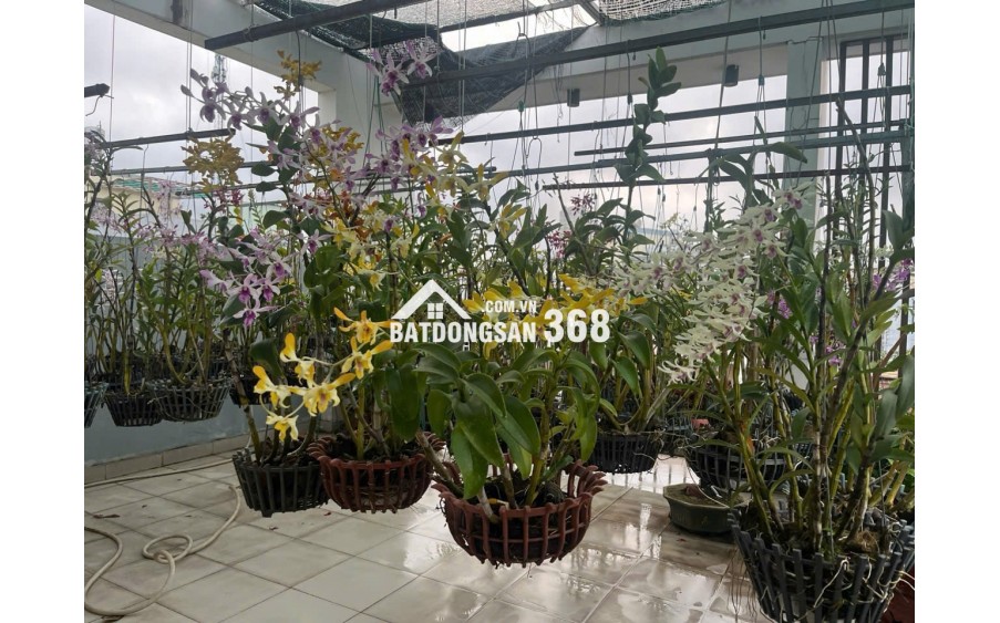 Bán nhà đúc 2,5 tấm hẻm 142 đường số 339 P. Phước Long B, Q9 cũ