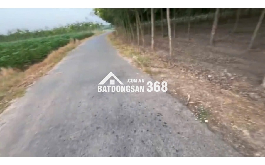 ht Cần bán nhanh 2,5 tỷ đất tại Thạnh Lộc Tân Biên tỉnh Tây Ninh