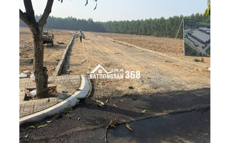  ĐẤT ĐẸP AN VIỄN – BÌNH MINH - Gần sân bay quốc tế Long Thành - khu công nghiệp giá tốt hợp đầu tư