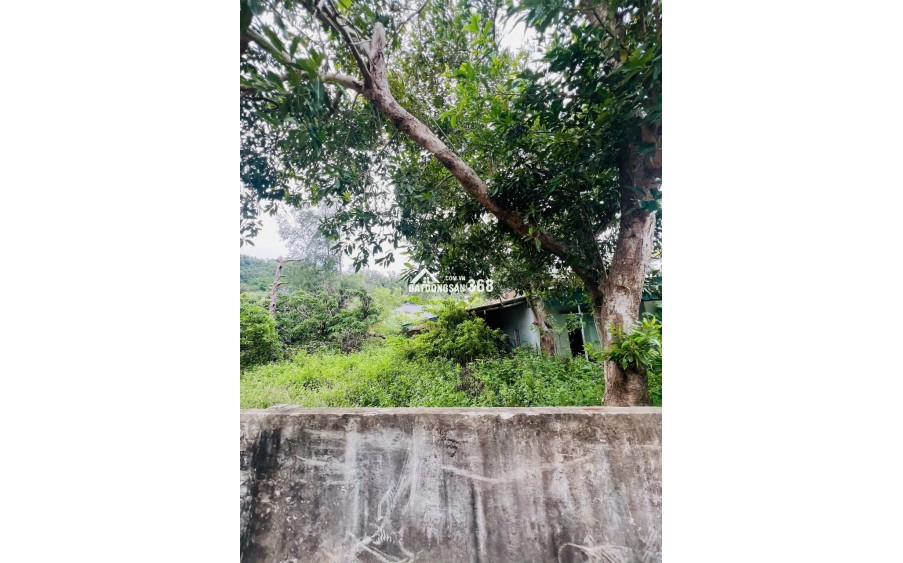  CHÍNH CHỦ BÁN 781,4 M ĐẤT TRUNG TÂM TT CÔ TÔ – QUẢNG NINH 