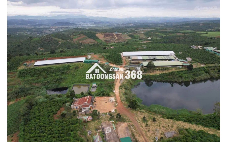 CẦN BÁN VƯỜN CÀ PHÊ + TRẠI HEO+ TRẠI GÀ TỔNG 9 ha - Xã Phúc Thọ, huyện Lâm Hà, tỉnh Lâm Đồng