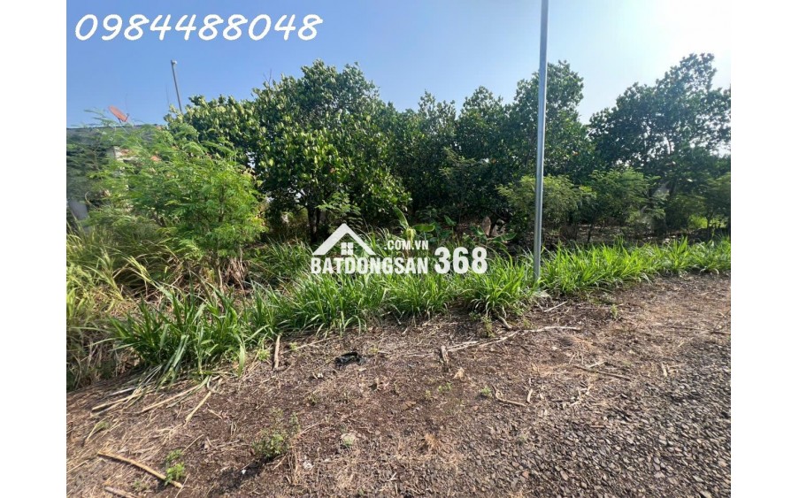Bán vườn 3216m2, Xuân Phú, Xuân Lộc. Đồng Nai. Giá 1,8 ty. Lh 0984488048.