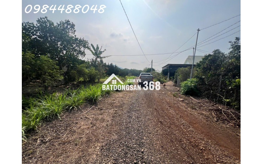 Bán vườn 3216m2, Xuân Phú, Xuân Lộc. Đồng Nai. Giá 1,8 ty. Lh 0984488048.