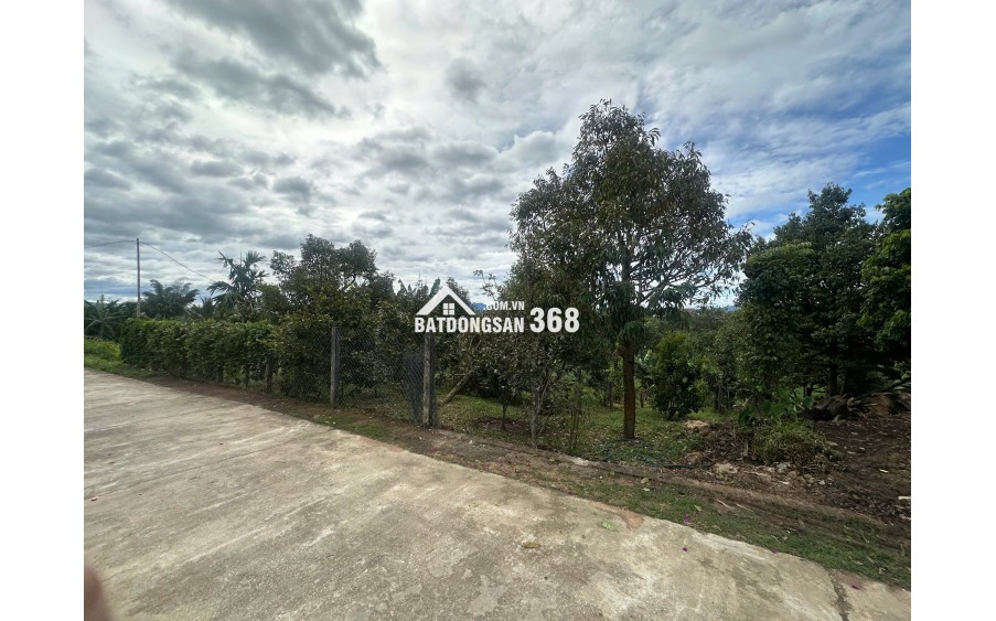 Cơ hội hiếm có: 472m² full thổ cư ngay trung tâm Đắk Mar!