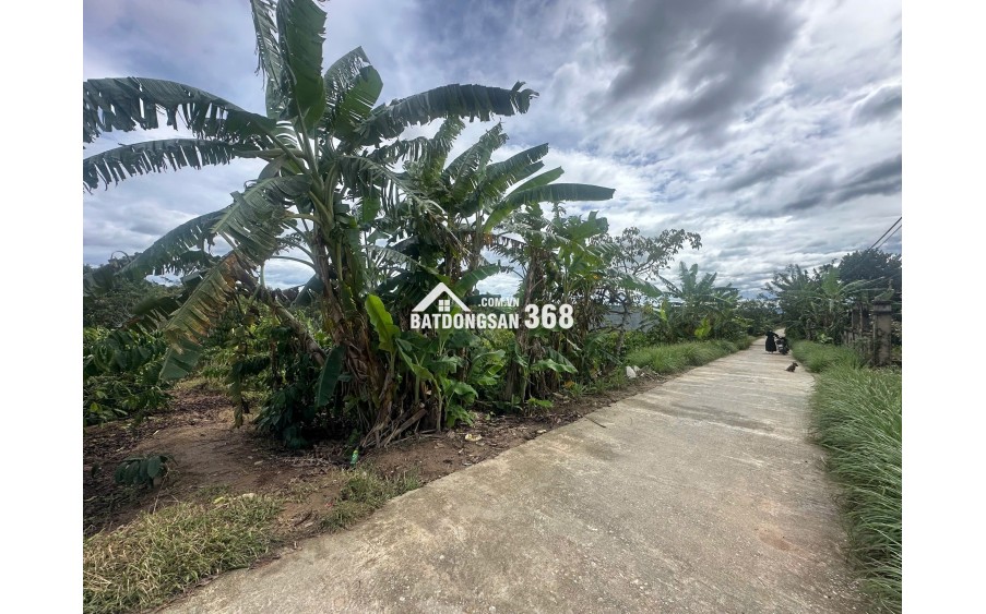 Cơ hội hiếm có: 472m² full thổ cư ngay trung tâm Đắk Mar!