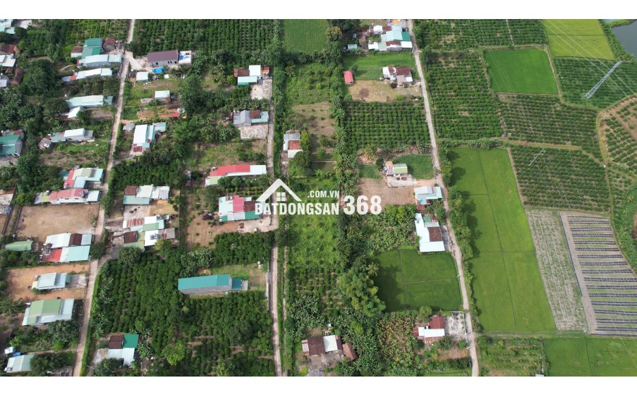 Săn đất vàng Kon Tum, đầu tư sinh lời cực đỉnh!