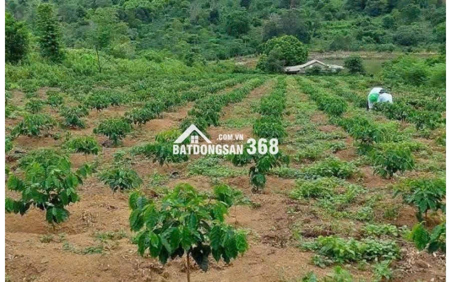 Bán gấp mảnh đất siêu đẹp, đầu tư là thắng tại Kon Tum.