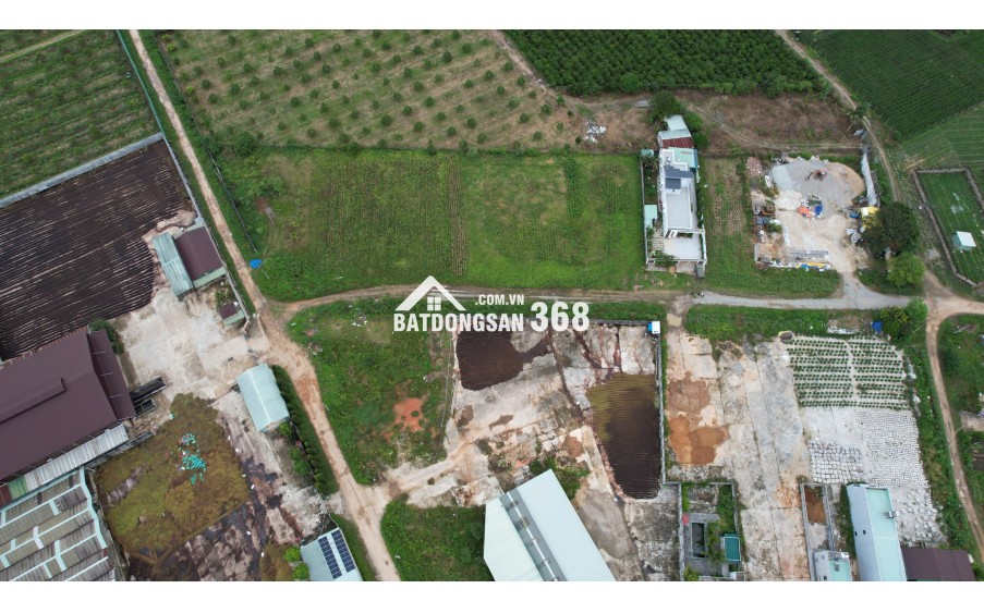 Cơ hội hiếm có: 472m² full thổ cư ngay trung tâm Đắk Mar!