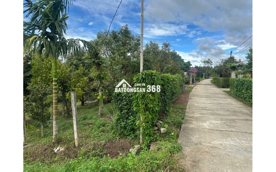 Săn đất vàng Kon Tum, đầu tư sinh lời cực đỉnh!