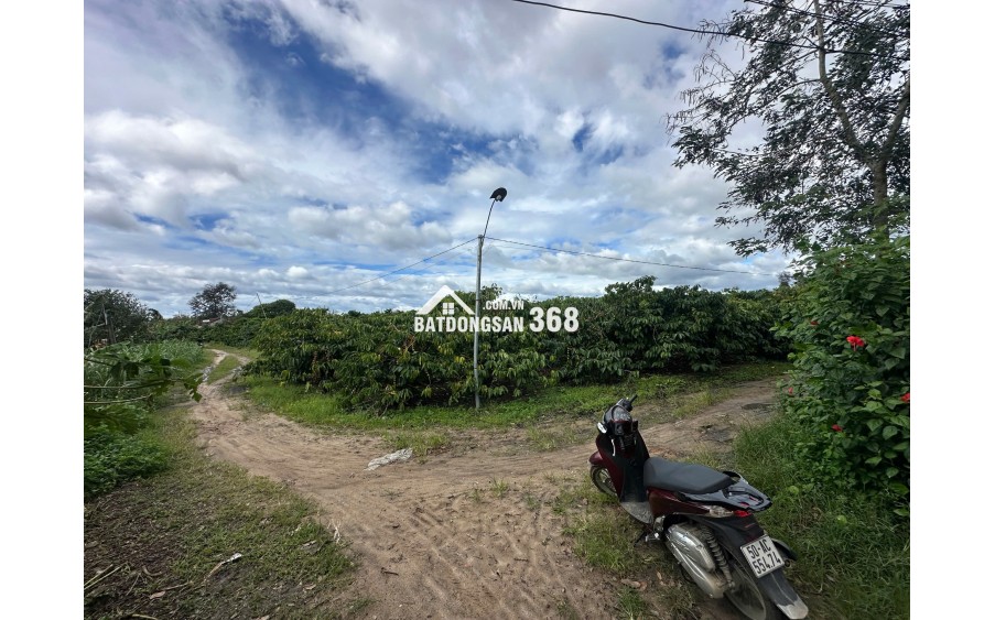 Cơ hội hiếm có: 472m² full thổ cư ngay trung tâm Đắk Mar!
