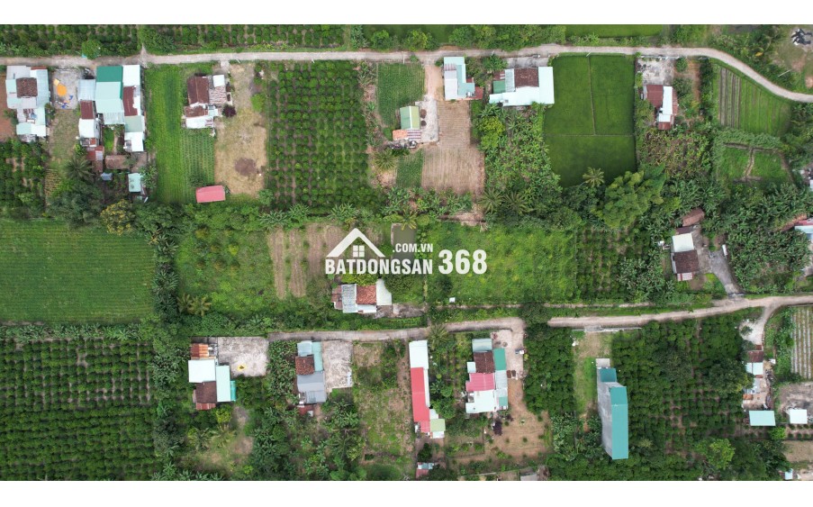 Săn đất vàng Kon Tum, đầu tư sinh lời cực đỉnh!