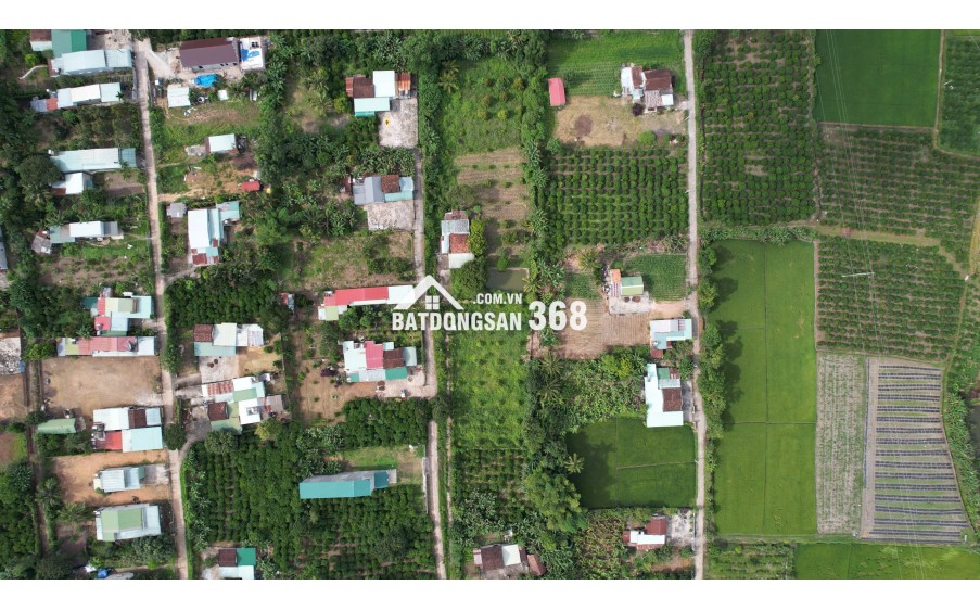  Đất Kon Tum, cơ hội đầu tư x 100 cho anh chị em thiện chí! 
