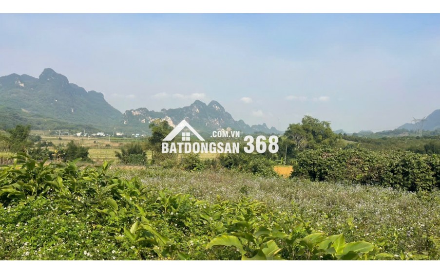 Đất Cao Phong Giá SỐC Chỉ Dưới 1 Triệu/m² Sở Hữu 6000m² View Cánh Đồng cách QL6 chưa đến 1km