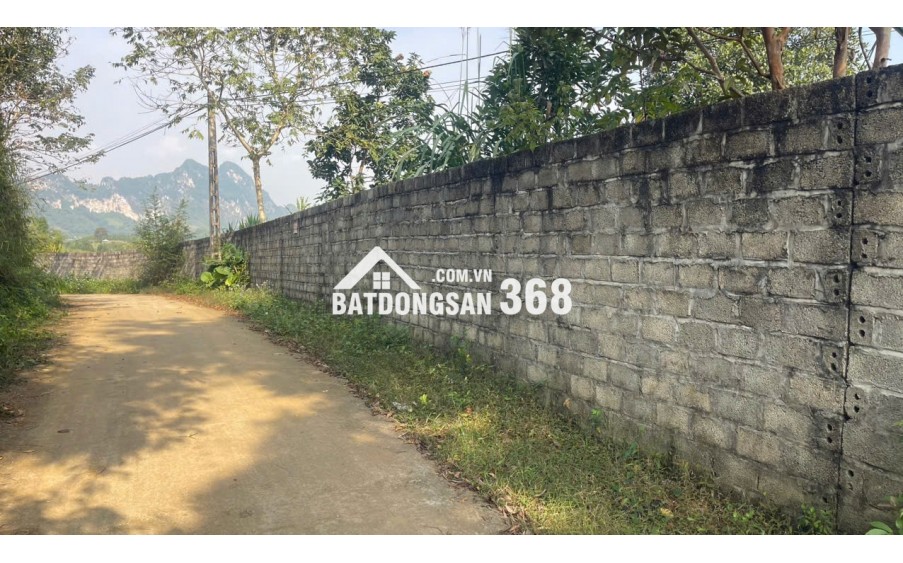 Đất Cao Phong Giá SỐC Chỉ Dưới 1 Triệu/m² Sở Hữu 6000m² View Cánh Đồng cách QL6 chưa đến 1km