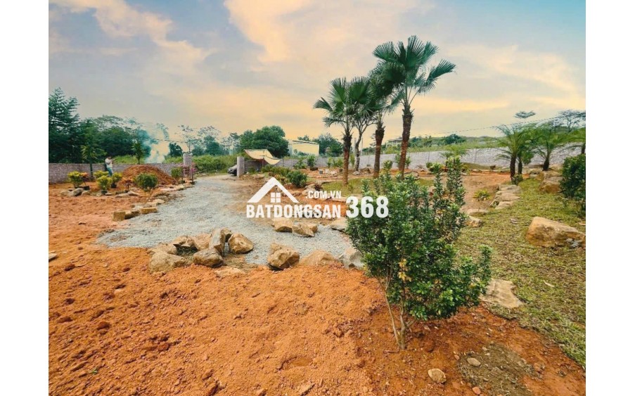 BÁN NHANH GIÁ ĐẦU TƯ 14TR 863M YÊN XUÂN QUỐC OAI SÁT TRỤC CHÍNH VIEW THOÁNG MÁT ĐƯỜNG 3 ÔTÔ